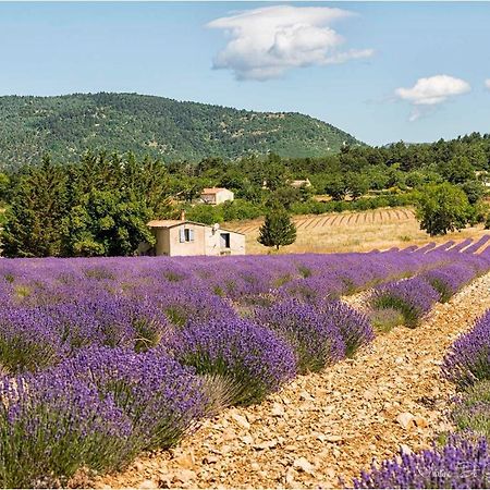 Hotel D'Albion Sault-de-Vaucluse Bagian luar foto