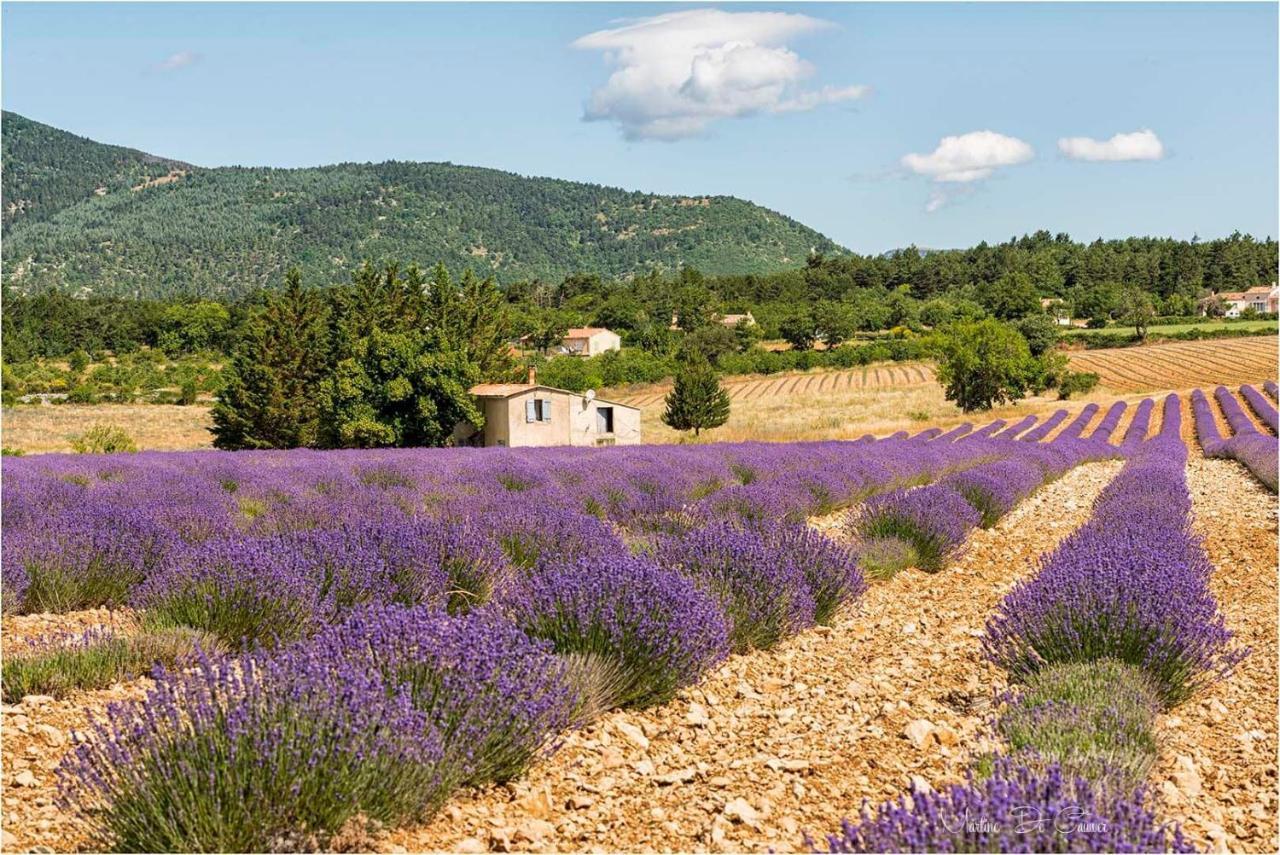 Hotel D'Albion Sault-de-Vaucluse Bagian luar foto