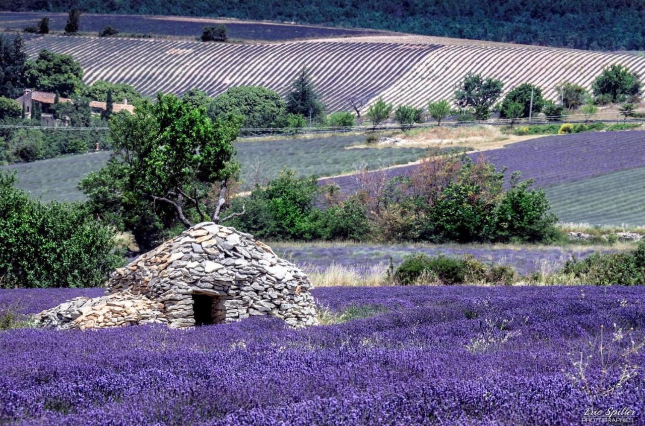 Hotel D'Albion Sault-de-Vaucluse Bagian luar foto